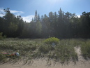 Trip to Northern Michigan (313952)