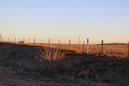 Marfa and Ft. Davis (317048)