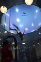 iFly Austin (319862)
