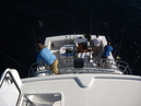 Pacific Marlin Fishing (320133)