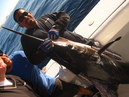 Pacific Marlin Fishing (320141)