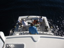 Pacific Marlin Fishing (320053)