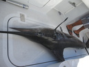 Pacific Marlin Fishing (320142)