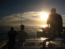 Pacific Marlin Fishing (320061)