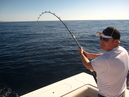 Pacific Marlin Fishing (320047)