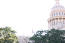 Capitol Panos (320161)