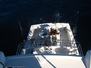 Pacific Marlin Fishing (320091)