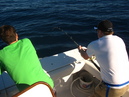 Pacific Marlin Fishing (320058)