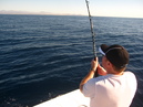 Pacific Marlin Fishing (320114)