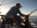 Pacific Marlin Fishing (320063)