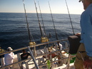 Pacific Marlin Fishing (320040)