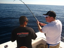 Pacific Marlin Fishing (320103)