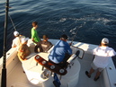 Pacific Marlin Fishing (320028)