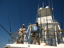 Pacific Marlin Fishing (320146)