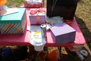 Putt Baby Shower and Crawfish Boil (323831)