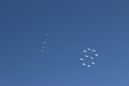 Pi in the Sky (323241)