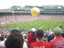 Fenway Park (12466)