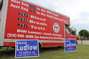 Campaign Signs in Manor (333803)