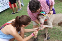 Pride Festival 2014 (334390)