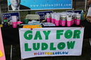 Pride Festival 2014 (334330)