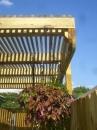 Patio and Pergola (12627)