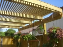 Patio and Pergola