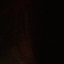 Random iPhone Pics (344346)