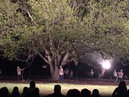 Trees of Govalle Performance (344206)