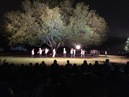 Trees of Govalle Performance (344295)