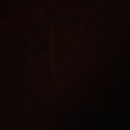 Random iPhone Pics (344166)