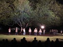 Trees of Govalle Performance (344592)
