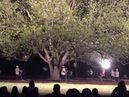 Trees of Govalle Performance (345166)