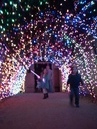 Houston Zoo of Lights with Jonas