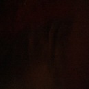 Random iPhone Pics (345107)