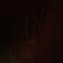 Random iPhone Pics (344738)