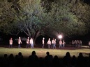 Trees of Govalle Performance (344623)