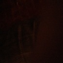 Random iPhone Pics (344878)