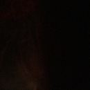 Random iPhone Pics (344588)