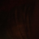 Random iPhone Pics (344426)