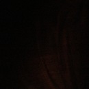 Random iPhone Pics (344684)