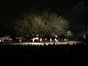 Trees of Govalle Performance