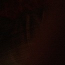 Random iPhone Pics (345630)