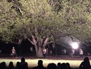 Trees of Govalle Performance (345820)