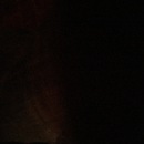 Random iPhone Pics (345719)