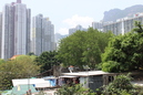 Wong Tai Sin Temple (354852)