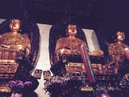 Jade Buddha Temple (357610)