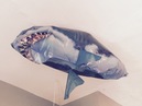 The Shark Balloon (359402)