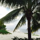 Cozumel 2015 (360440)