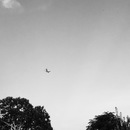 Random iPhone Shots (360198)