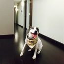 Random Office Shots (360165)